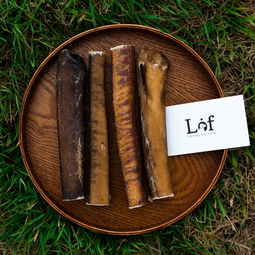 Bâtonnets Monster Bully Sticks 15 cm sans odeur  100 % pizzle de bœuf